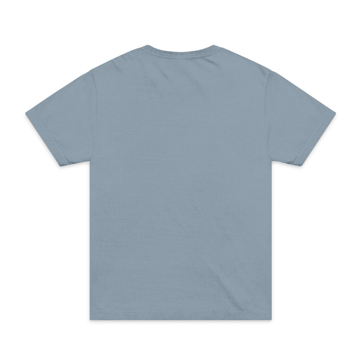 Mud Bug T-Shirt — Vintage Crawfish Graphic Tee